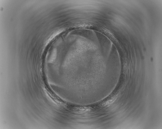 X0000059250443200510282000