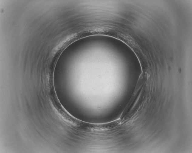 X0000059250444200510282000