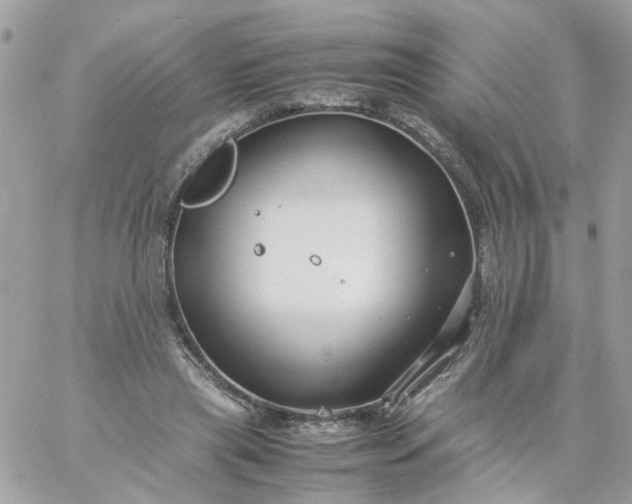 X0000059250445200510282000