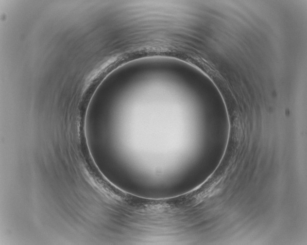 X0000059250446200510282000