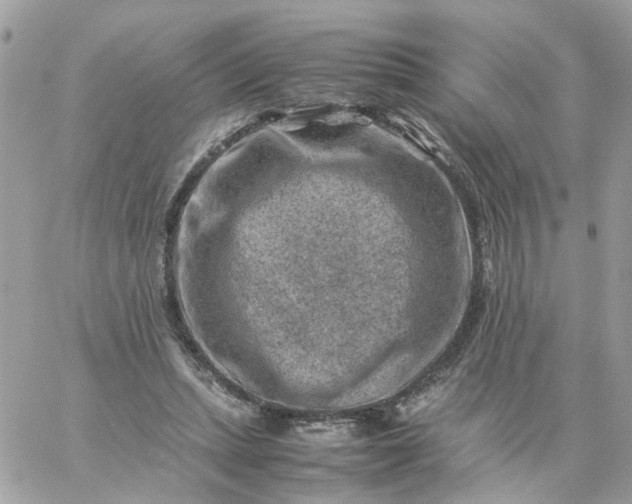 X0000059250447200510282000