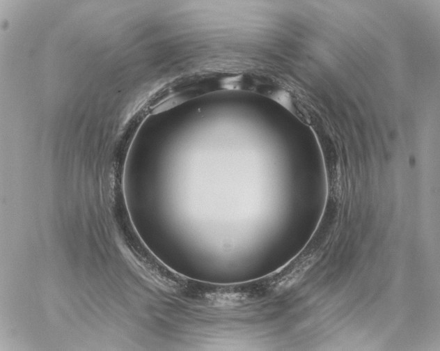 X0000059250448200510282000