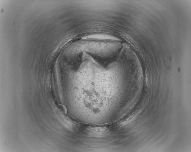 X0000059250449200510282000