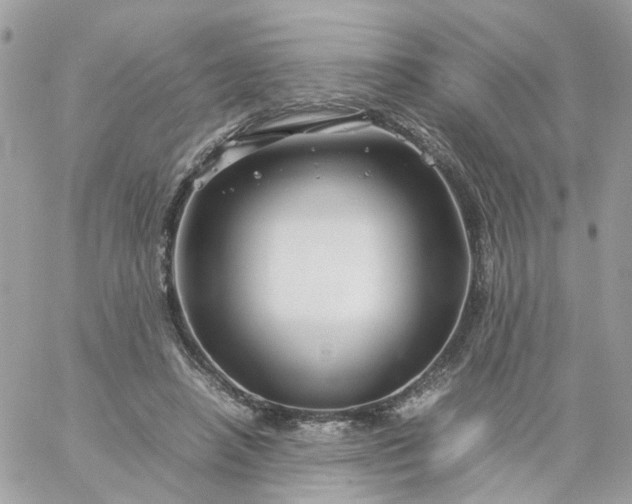 X0000059250450200510282000