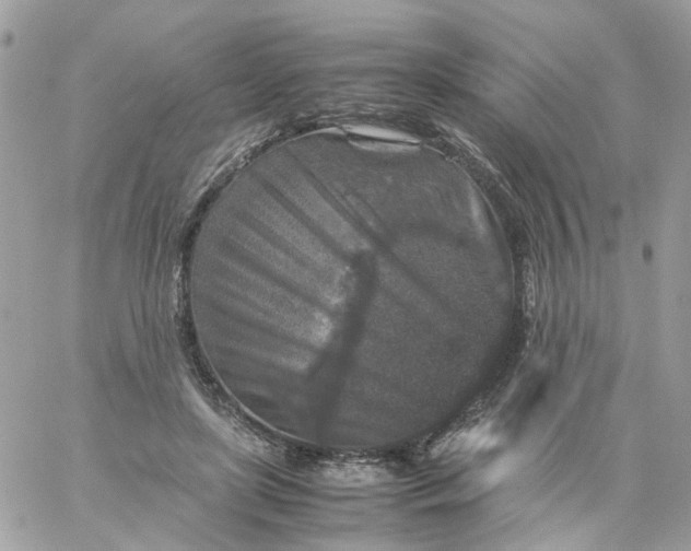 X0000059250451200510282000