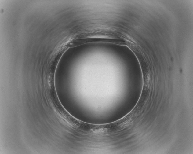 X0000059250452200510282000