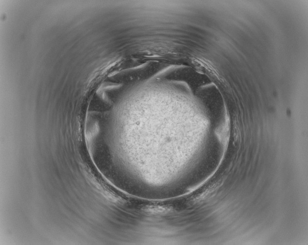 X0000059250453200510282000