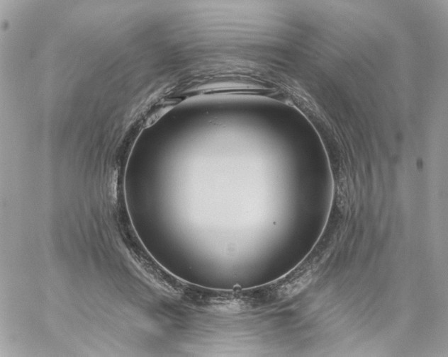 X0000059250454200510282000