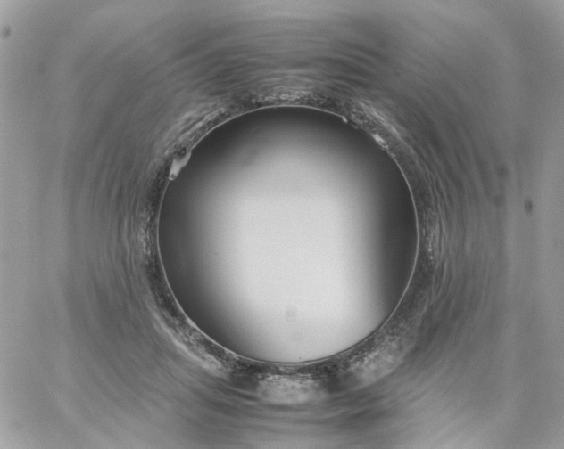 X0000059250455200510282000