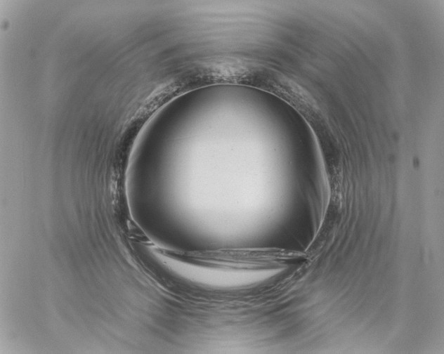 X0000059250456200510282000