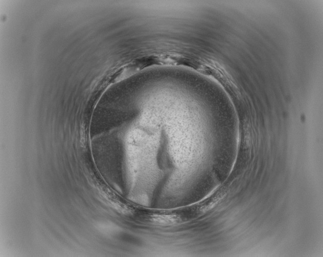 X0000059250457200510282000