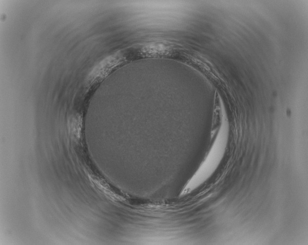 X0000059250458200510282000