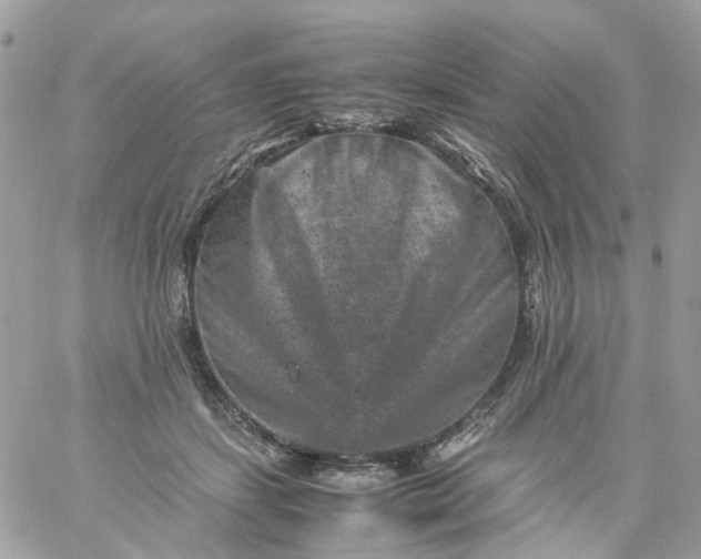 X0000059250459200510282000