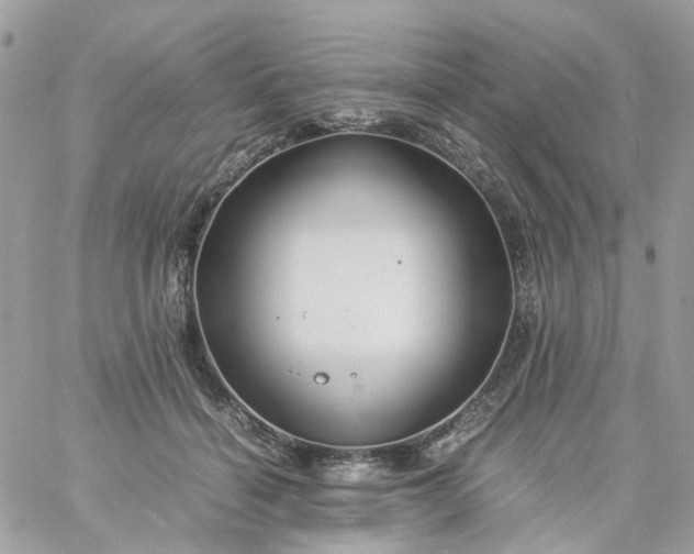 X0000059250460200510282000