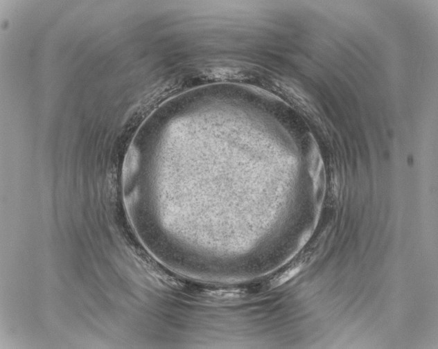 X0000059250461200510282000