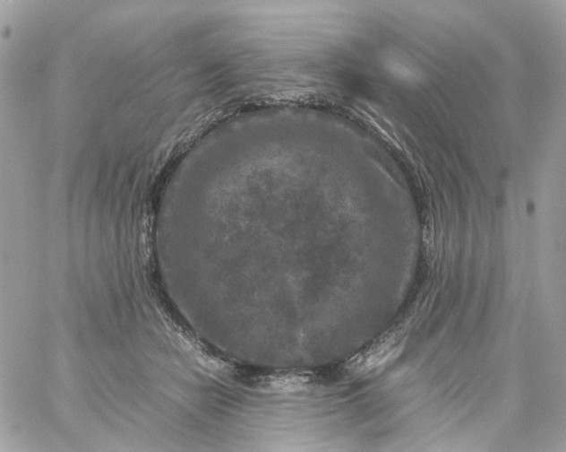 X0000059250462200510282000