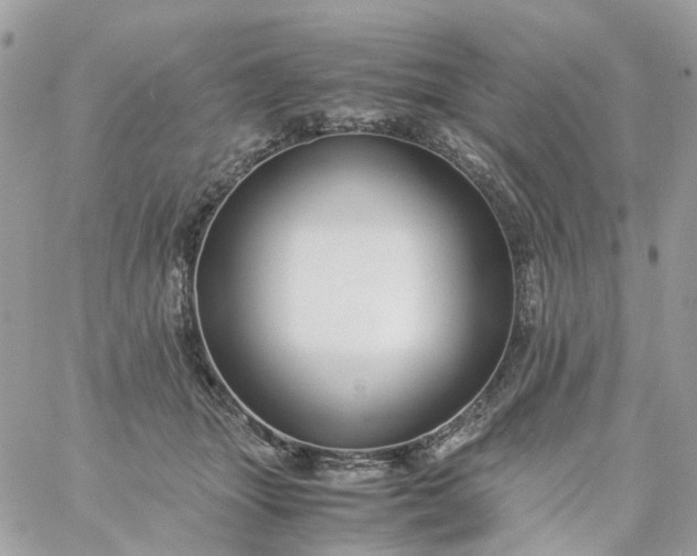 X0000059250463200510282000