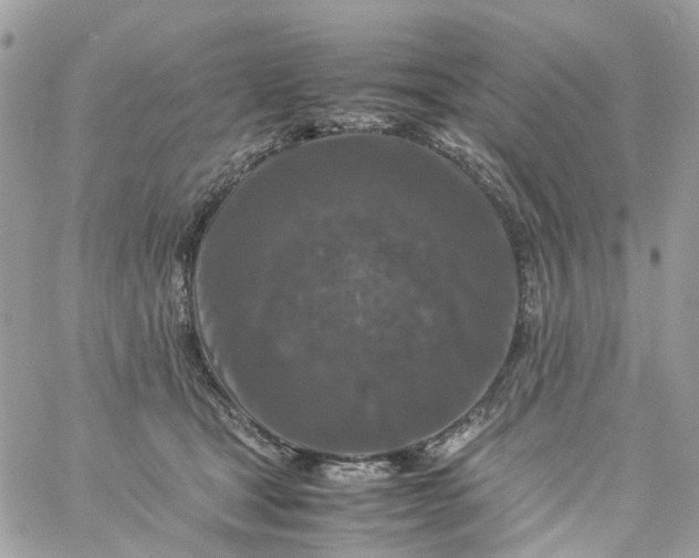 X0000059250465200510282000