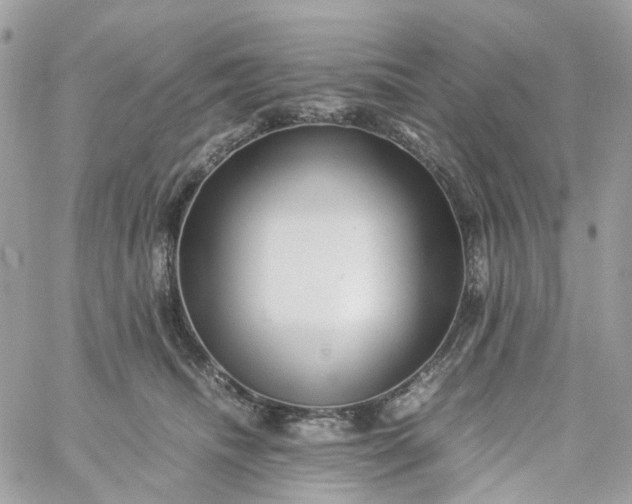 X0000059250468200510282000