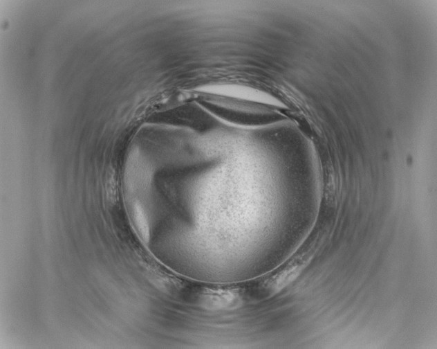 X0000059250469200510282000