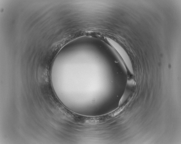 X0000059250470200510282000