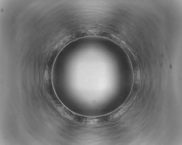 X0000059250472200510282000