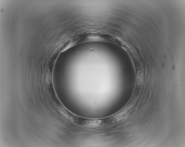 X0000059250474200510282000