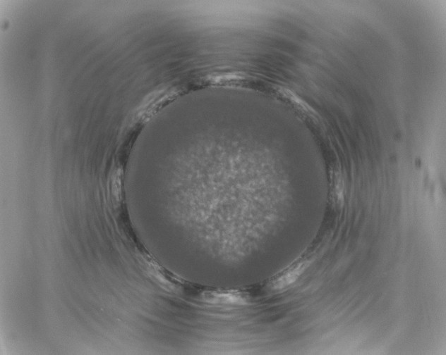 X0000059250475200510282000