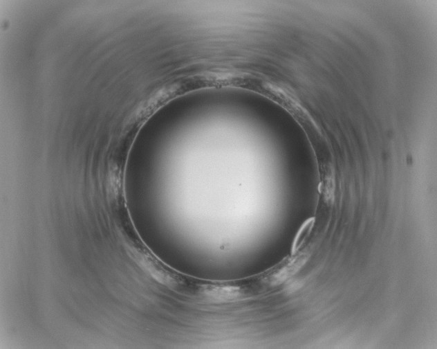 X0000059250476200510282000