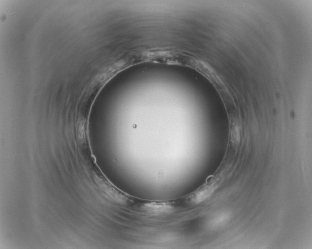 X0000059250477200510282000