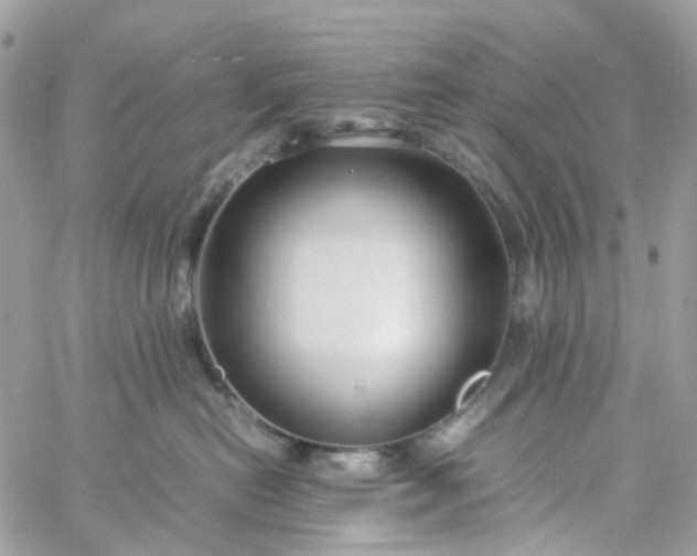 X0000059250478200510282000