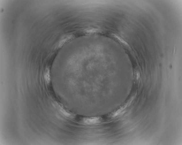 X0000059250479200510282000