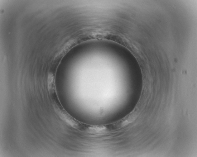 X0000059250480200510282000