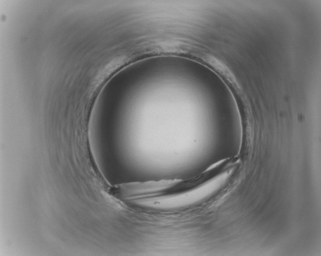 X0000059250481200510282000