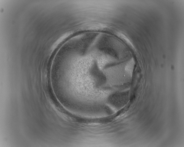 X0000059250483200510282000