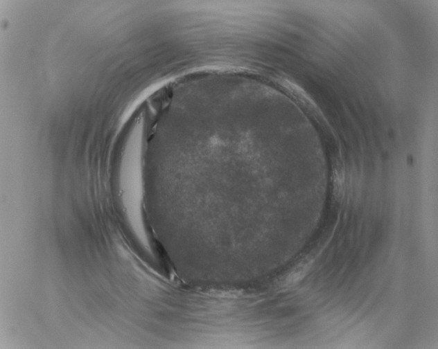 X0000059250484200510282000