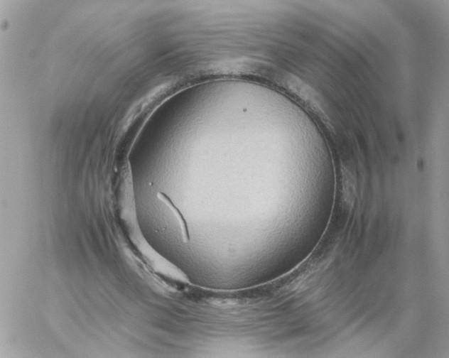 X0000059250486200510282000