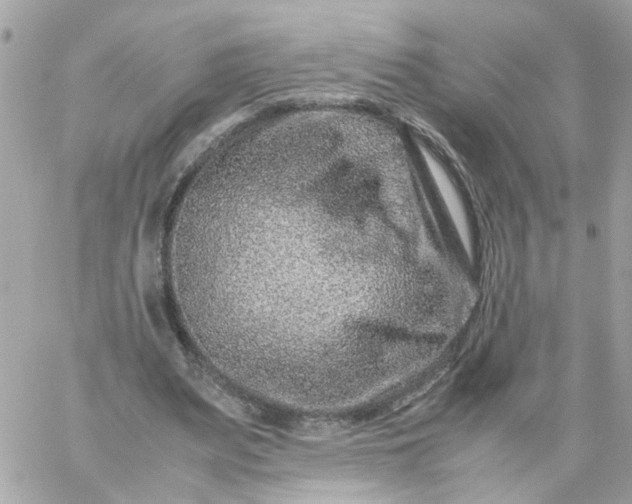 X0000059250487200510282000