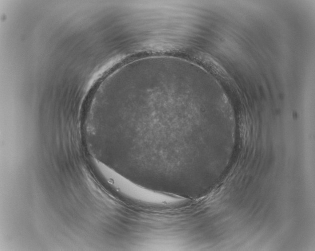 X0000059250488200510282000