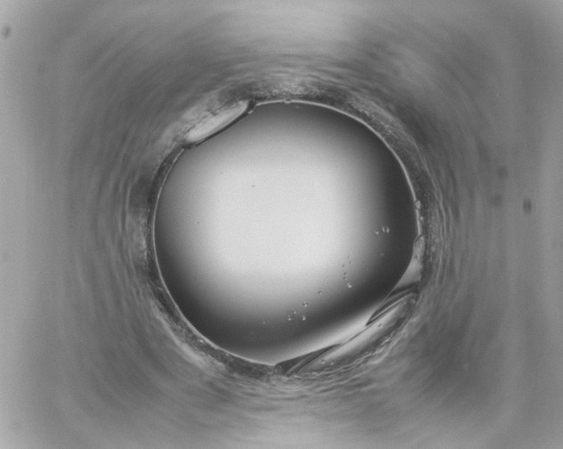 X0000059250489200510282000