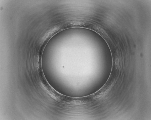 X0000059250490200510282000