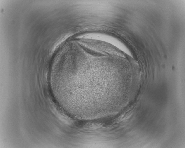 X0000059250491200510282000