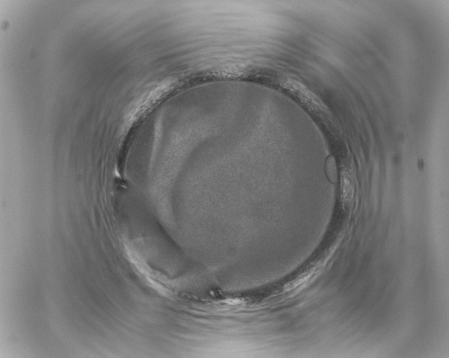 X0000059250493200510282000