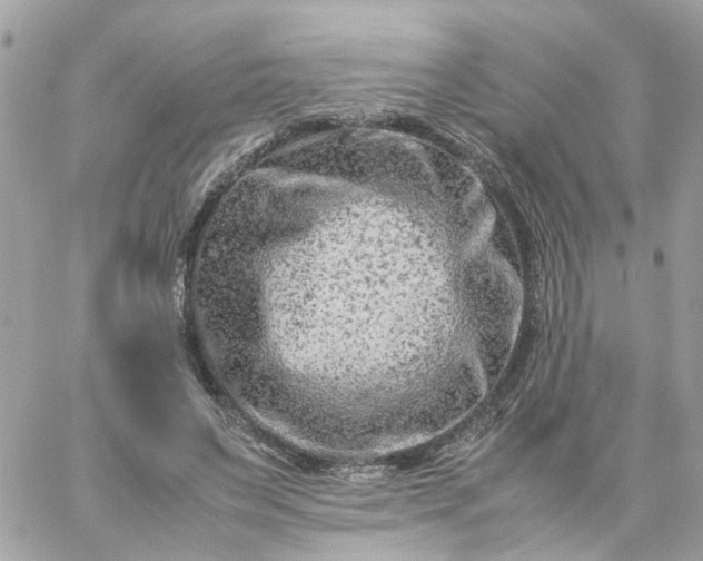 X0000059250495200510281959