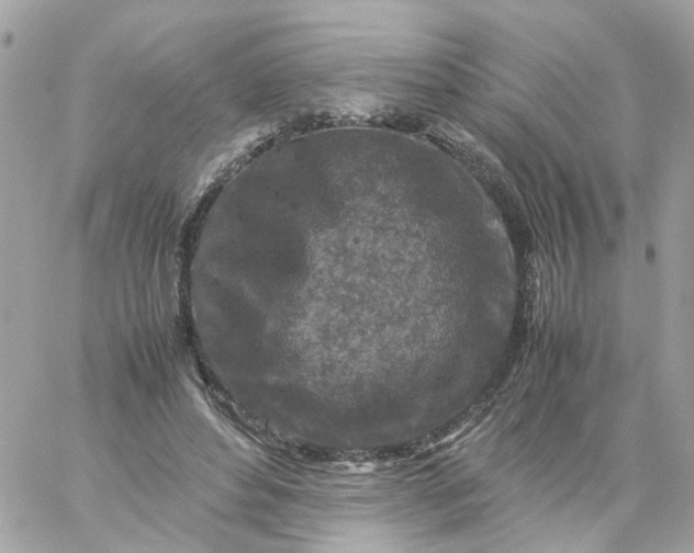 X0000059250496200510281959