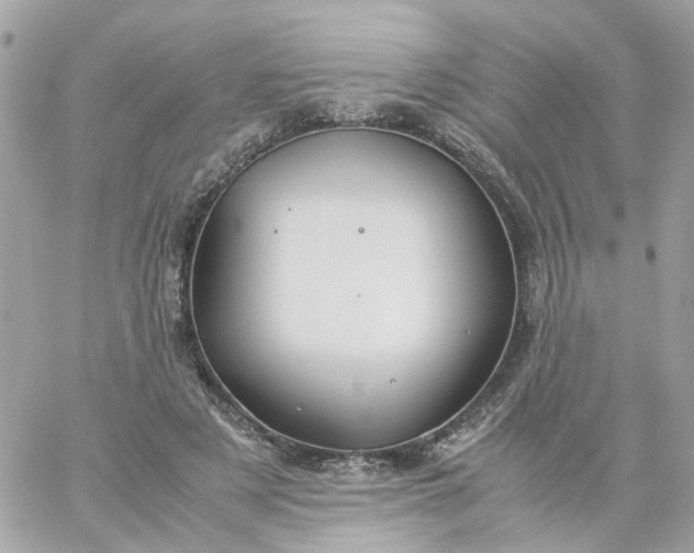 X0000059250497200510281959