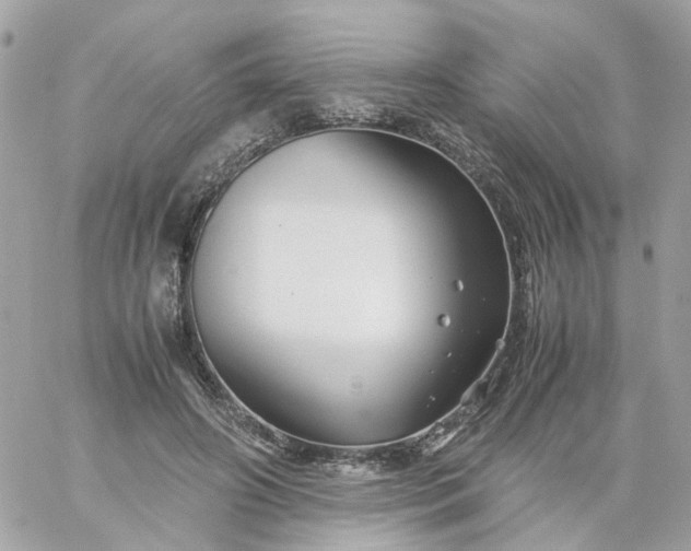 X0000059250498200510281959