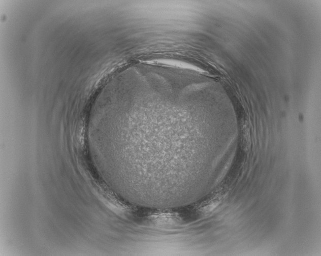 X0000059250499200510281959