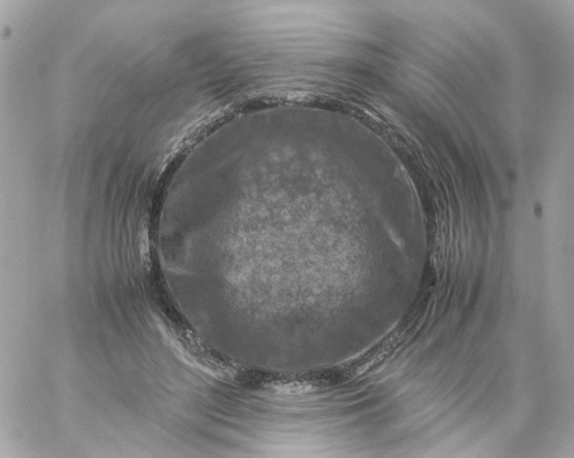 X0000059250500200510281959