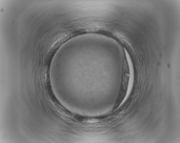 X0000059250501200510281959